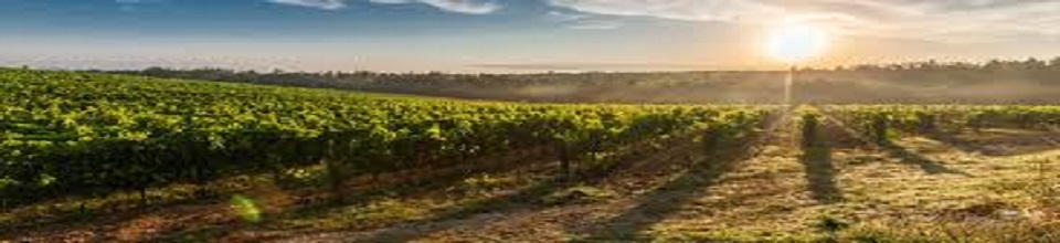 Sharafati High School - Slide